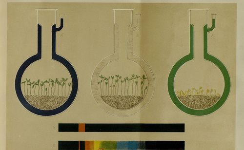 Accéder à la page "Annales de l'Institut national agronomique"