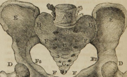 BARD, Samuel (1742-1821) A compendium of the theory and practice of midwifery