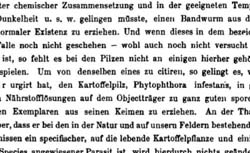 BARY, Anton de (1831-1888) Die Erscheinung der Symbiose