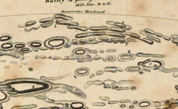 BEER, Wilhelm (1797-1850), MÄDLER, Johann Heinrich von (1794-1874) Der Mond nach seinen kosmischen und individuellen Verhältnissen