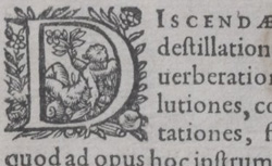 BÉGUIN, Jean (1550-1620) Tyrocinium chymicum