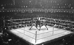 Accéder à la page "Boxe - Championnats du monde"