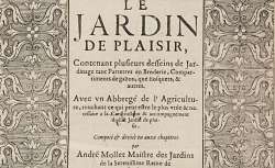 Le jardin de plaisir, 1651