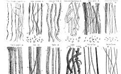 M. Alcan, Traité complet de la filature du coton. II. Planches. 1864-1865