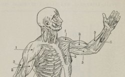 Accéder à la page "Physiologie du sport"