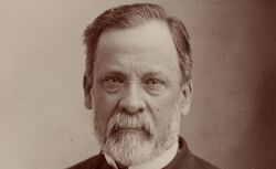 Accéder à la page "Photographies de Pasteur par l'Atelier Nadar"