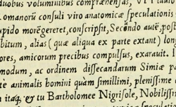 CANANO, Giovanni Battista (1515-1579) Musculorum humani corporis picturata dissectio