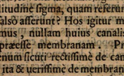 CARCANO LEONE, Giovanni Battista (1536-1606) Anatomici libri II