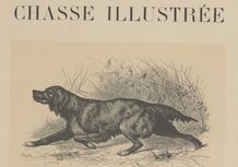 Accéder à la page "Chasse illustrée (La)"