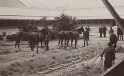 [Collection Jules Beau. Photographie sportive] : T. 13. Année 1900 (image 34) 