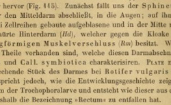 DRIESCH, Hans (1867-1941) Entwicklungmechanische Studien