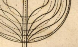 DU BUAT, Pierre Louis Georges, comte (1734-1809) Principes d'hydraulique