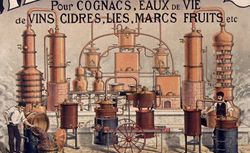 Alambics pour cognacs... eaux de vie... Deroy fils ainé [affiche]