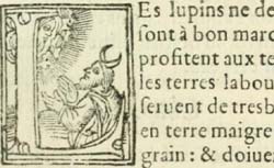 ESTIENNE, Charles (1504-1564) L'Agriculture et maison rustique