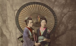 Accéder à la page "Des photographes au Japon"