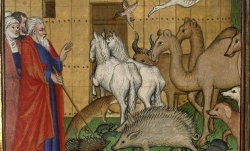 Français 9, fol. 15 : Noé entrant dans l’arche