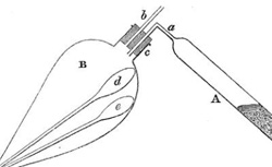 FRANKLAND, Edward (1825-1899) On a new series of organic bodies containing metals