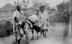 Accéder à la page "Photographies de la Société de Géographie"