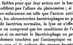 HÉRELLE, Félix Hubert d’ (1873-1949) Le bactériophage