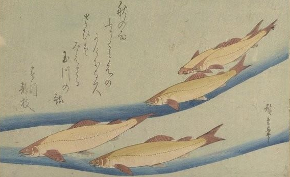 Hiroshige. Les Grands Poissons. 1832 BOITE FOL-DE-10 (2)