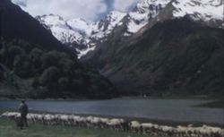 Accéder à la page "Hommes et troupeaux des Hautes-Pyrénées"