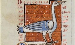 De avibus, Hugo de Folieto. Ms Latin 2495, 22v 