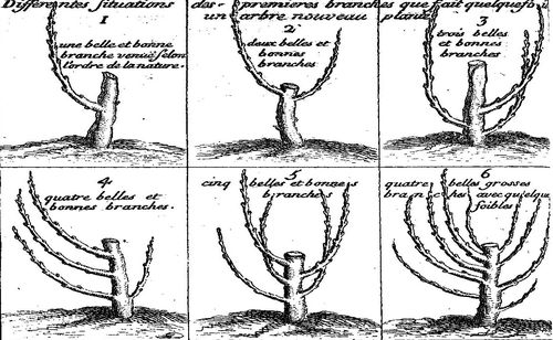 Accéder à la page "La Quintinie, Jean de (1626-1688)"