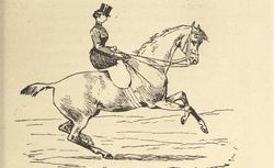 La Femme à cheval (p.68)