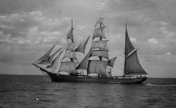 Trois mâts en mer suivi d'un bateau vapeur à aubes. Coll des bibliothèques de Bordeaux