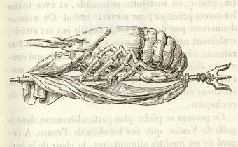 L'art de la cuisine française au XIXe siècle, 1833