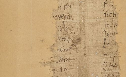 Accéder à la page "BnF, ms. Latin 8914"