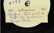 Accéder à la page "Nombres ; Histoire de voleurs de buffles / Boloutsake, Vlaantzakouamleka, voix. Nombres. Histoire de buffles détruisant les récoltes / Bezara, voix"