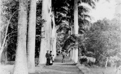 Accéder à la page "Photographies de la Société de Géographie"