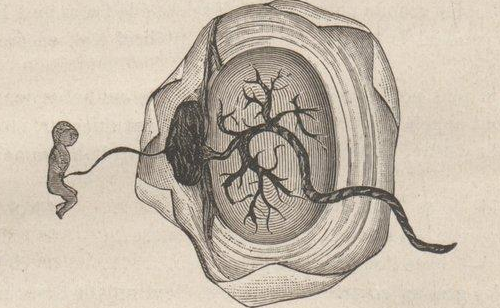 Accéder à la page "Nouvelles archives d'obstétrique et de gynécologie"