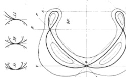 PLÜCKER, Julius (1801-1868) Theorie der algebraischen Curven