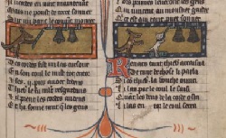 Accéder à la page "Le <em>Roman de Renart</em>"