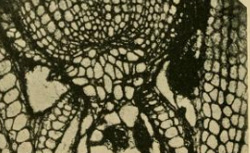 RICHARDSON, Owen Willans (1879-1959) On the negative radiation from hot platinum