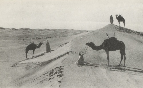 Accéder à la page "Photographies de la Société de géographie : Afrique"