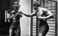 Accéder à la page "Louis Phall, dit Battling Siki (1897-1925)"