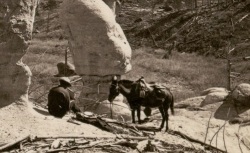 Accéder à la page "Images de l'Ouest américain"