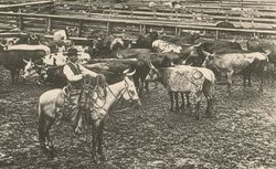 Stock Yards at Kansas City; in The United States of America. One hundred Albertype illustrations from recent negatives of the most noted scenes of our country] / [Adolph Wittemann]