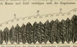 VRIES, Hugo de (1848-1935) Die Mutationstheorie