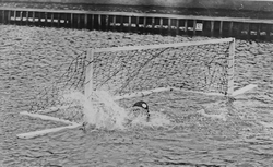 Accéder à la page "Water-polo"