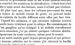 YERSIN, Alexandre (1863-1943) La peste bubonique à Hong-Kong